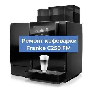 Ремонт заварочного блока на кофемашине Franke C250 FM в Воронеже